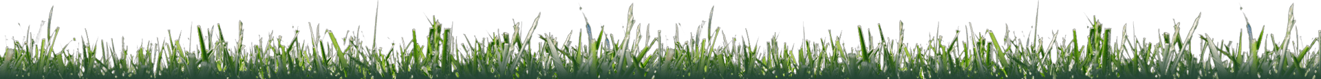 Grass border